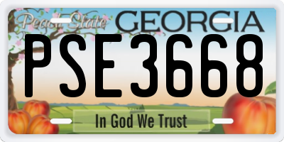 GA license plate PSE3668