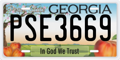 GA license plate PSE3669