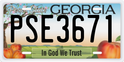 GA license plate PSE3671