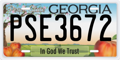 GA license plate PSE3672