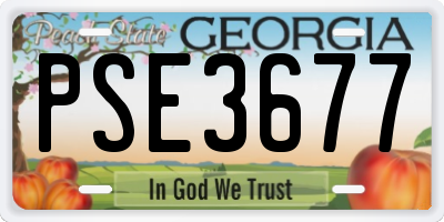 GA license plate PSE3677