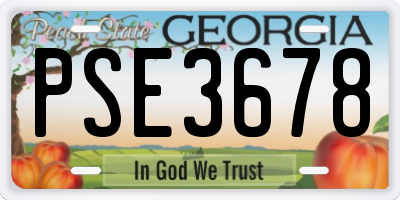GA license plate PSE3678