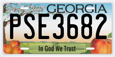 GA license plate PSE3682