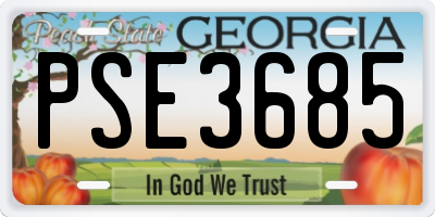 GA license plate PSE3685
