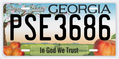 GA license plate PSE3686