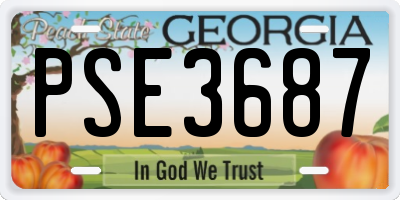 GA license plate PSE3687