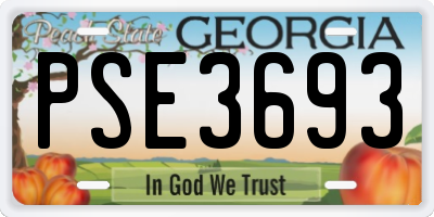 GA license plate PSE3693