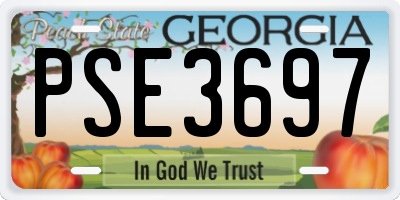 GA license plate PSE3697