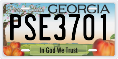 GA license plate PSE3701