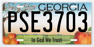 GA license plate PSE3703