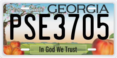 GA license plate PSE3705