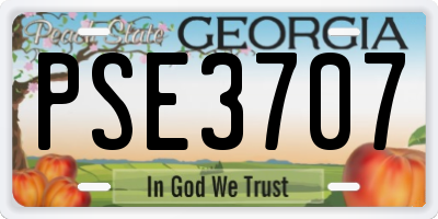 GA license plate PSE3707