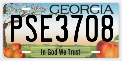 GA license plate PSE3708