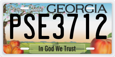 GA license plate PSE3712