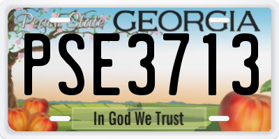GA license plate PSE3713