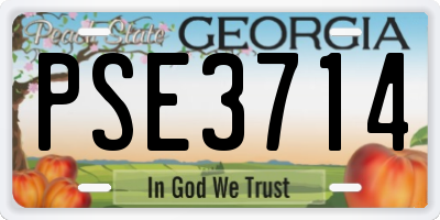 GA license plate PSE3714