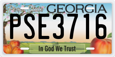 GA license plate PSE3716