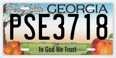 GA license plate PSE3718