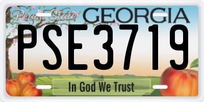 GA license plate PSE3719