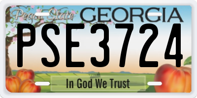 GA license plate PSE3724