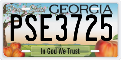 GA license plate PSE3725