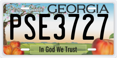 GA license plate PSE3727