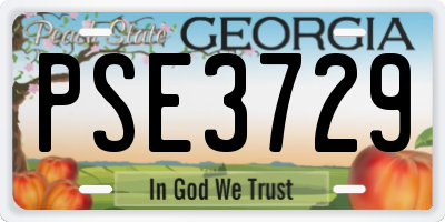 GA license plate PSE3729