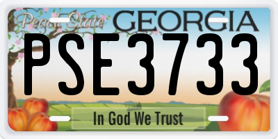 GA license plate PSE3733