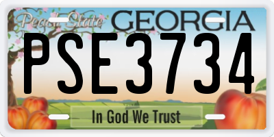 GA license plate PSE3734