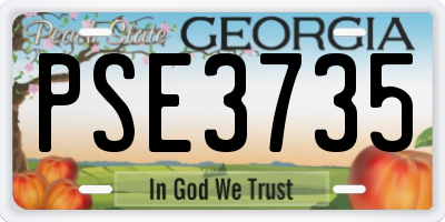 GA license plate PSE3735