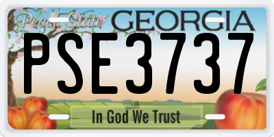GA license plate PSE3737