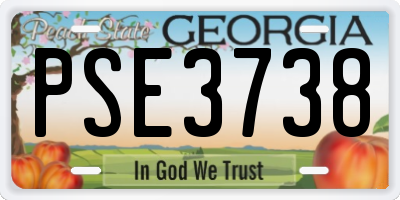 GA license plate PSE3738