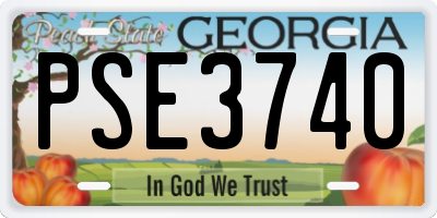 GA license plate PSE3740