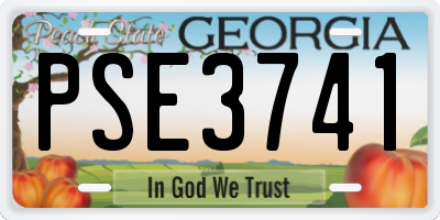 GA license plate PSE3741