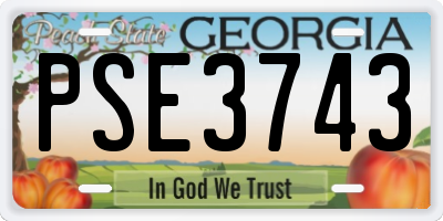 GA license plate PSE3743