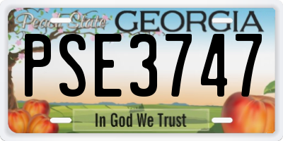 GA license plate PSE3747
