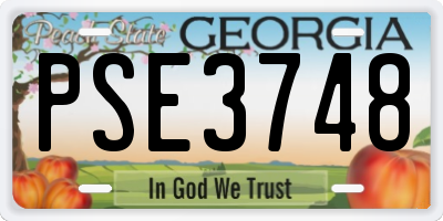 GA license plate PSE3748