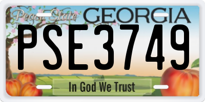 GA license plate PSE3749