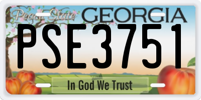 GA license plate PSE3751