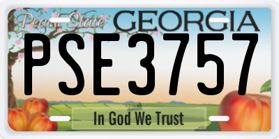 GA license plate PSE3757