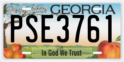 GA license plate PSE3761