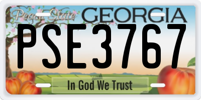 GA license plate PSE3767
