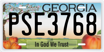 GA license plate PSE3768