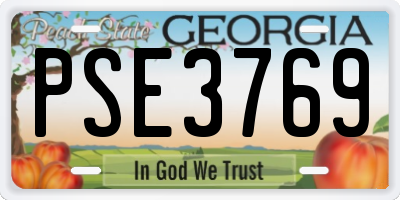 GA license plate PSE3769