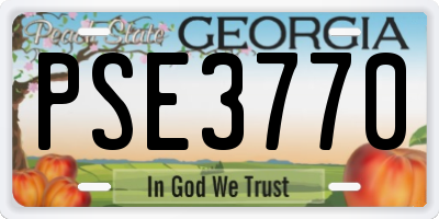 GA license plate PSE3770