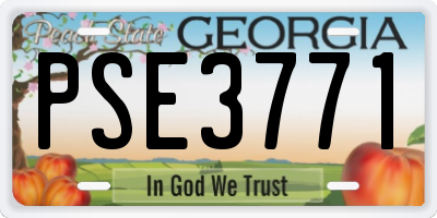 GA license plate PSE3771