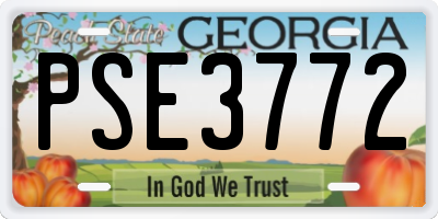 GA license plate PSE3772