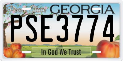 GA license plate PSE3774