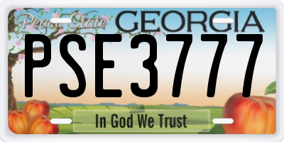 GA license plate PSE3777