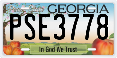 GA license plate PSE3778